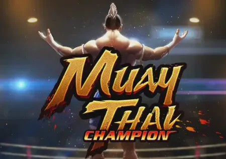 Muay Thai Champion